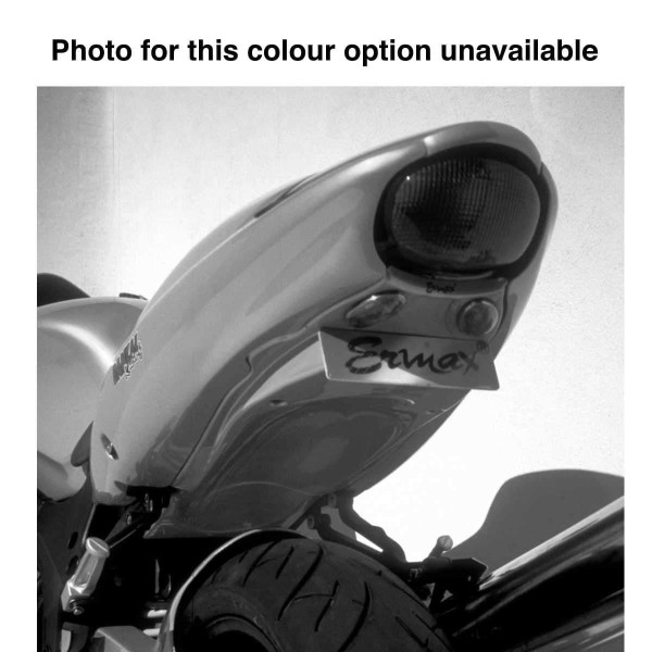 Ermax Ermax undertray | unpainted | triumph speed four 2003>2005